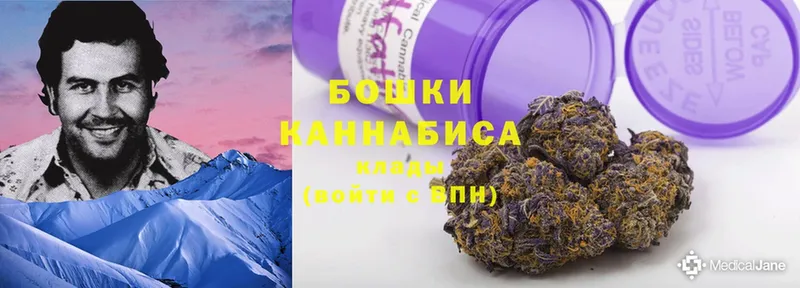 Марихуана THC 21%  купить наркотики сайты  Зуевка 